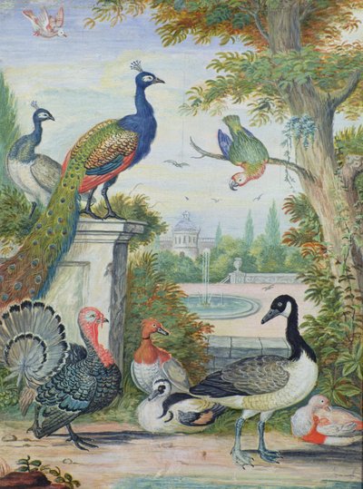 Exotic Birds and Domestic Fowl in a Picturesque Park, early 18th century by Jakob Bogdani or Bogdany